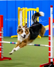 2025-10-12-BANDA-SUN-545