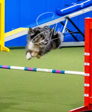 2025-10-12-BANDA-SUN-549