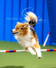 2025-10-12-BANDA-SUN-55