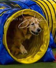 2025-10-12-BANDA-SUN-564