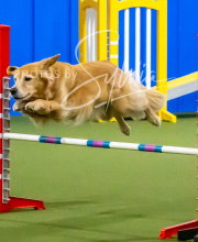 2025-10-12-BANDA-SUN-569