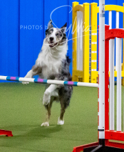 2025-10-12-BANDA-SUN-574