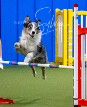 2025-10-12-BANDA-SUN-575