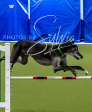 2025-10-12-BANDA-SUN-579