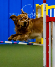 2025-10-12-BANDA-SUN-592