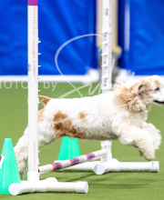 2025-10-12-BANDA-SUN-6