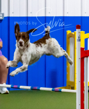 2025-10-12-BANDA-SUN-601