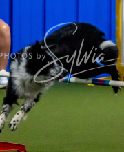 2025-10-12-BANDA-SUN-606