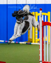 2025-10-12-BANDA-SUN-613