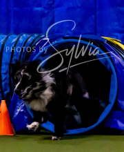 2025-10-12-BANDA-SUN-623