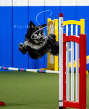 2025-10-12-BANDA-SUN-627