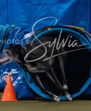 2025-10-12-BANDA-SUN-643