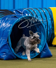 2025-10-12-BANDA-SUN-649