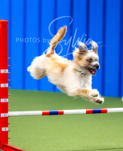 2025-10-12-BANDA-SUN-65