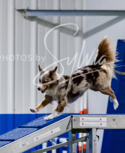 2025-10-12-BANDA-SUN-655