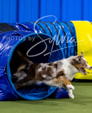 2025-10-12-BANDA-SUN-658