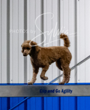 2025-10-12-BANDA-SUN-666