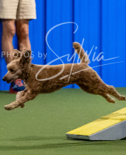 2025-10-12-BANDA-SUN-667