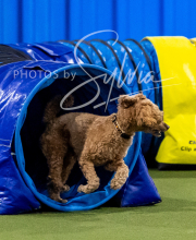 2025-10-12-BANDA-SUN-669