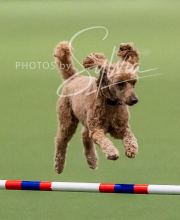 2025-10-12-BANDA-SUN-671