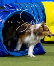 2025-10-12-BANDA-SUN-678