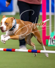 2025-10-12-BANDA-SUN-68