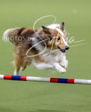 2025-10-12-BANDA-SUN-680