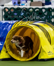 2025-10-12-BANDA-SUN-686