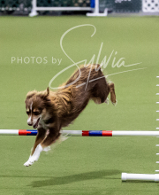 2025-10-12-BANDA-SUN-692