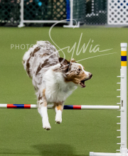 2025-10-12-BANDA-SUN-697