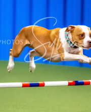 2025-10-12-BANDA-SUN-71