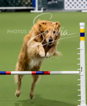 2025-10-12-BANDA-SUN-714