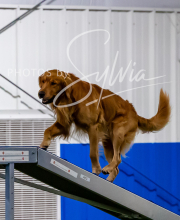 2025-10-12-BANDA-SUN-726