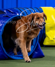 2025-10-12-BANDA-SUN-729