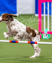 2025-10-12-BANDA-SUN-73