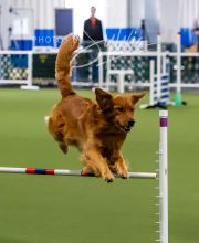 2025-10-12-BANDA-SUN-748