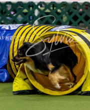 2025-10-12-BANDA-SUN-750