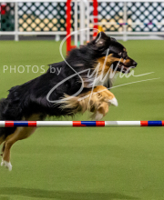 2025-10-12-BANDA-SUN-757