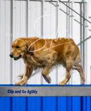 2025-10-12-BANDA-SUN-767