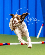 2025-10-12-BANDA-SUN-77