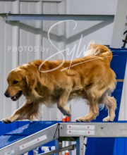 2025-10-12-BANDA-SUN-770