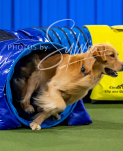 2025-10-12-BANDA-SUN-773