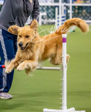 2025-10-12-BANDA-SUN-777