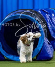 2025-10-12-BANDA-SUN-787