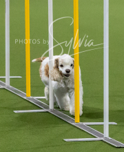 2025-10-12-BANDA-SUN-791