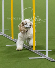 2025-10-12-BANDA-SUN-792