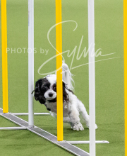 2025-10-12-BANDA-SUN-803