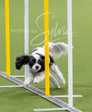 2025-10-12-BANDA-SUN-804