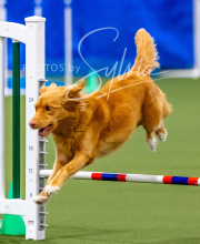 2025-10-12-BANDA-SUN-81