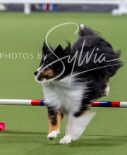 2025-10-12-BANDA-SUN-817